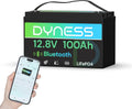 Dyness 12V 100Ah LiFePO4 Batterie mit Bluetooth und 100A BMS, 15000 Zyklen, ideal für Wohnwagen, Solaranlagen, Boote